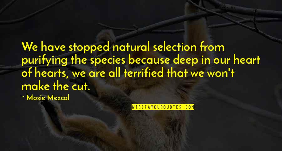 Michael Xavier Love Quotes By Moxie Mezcal: We have stopped natural selection from purifying the
