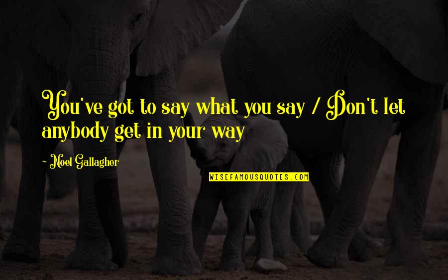 Michaelann Bewsee Quotes By Noel Gallagher: You've got to say what you say /
