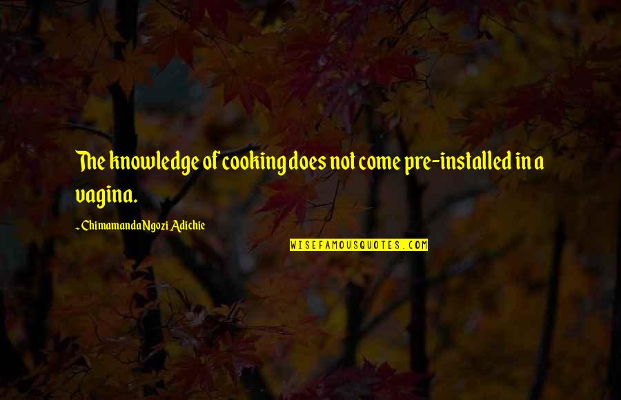Michailovas Quotes By Chimamanda Ngozi Adichie: The knowledge of cooking does not come pre-installed Michailovas Quotes By Chimamanda Ngozi Adichie: The knowledge of cooking does not come pre-installed