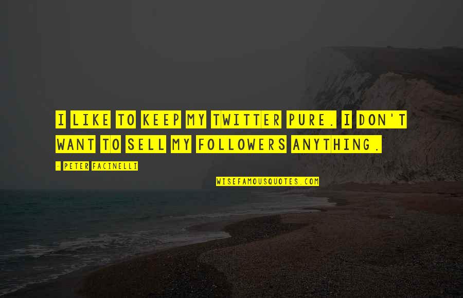 Michalon Lake Quotes By Peter Facinelli: I like to keep my Twitter pure. I