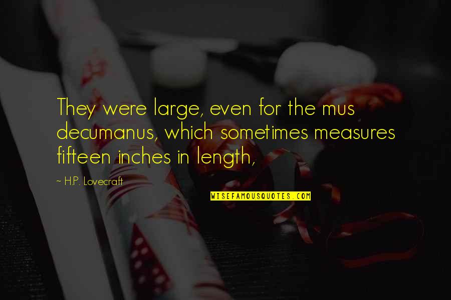 Michalsky Counseling Quotes By H.P. Lovecraft: They were large, even for the mus decumanus, Michalsky Counseling Quotes By H.P. Lovecraft: They were large, even for the mus decumanus,