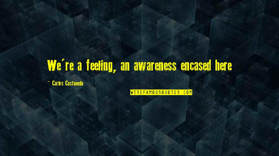 Micheaux Pronunciation Quotes By Carlos Castaneda: We're a feeling, an awareness encased here Micheaux Pronunciation Quotes By Carlos Castaneda: We're a feeling, an awareness encased here