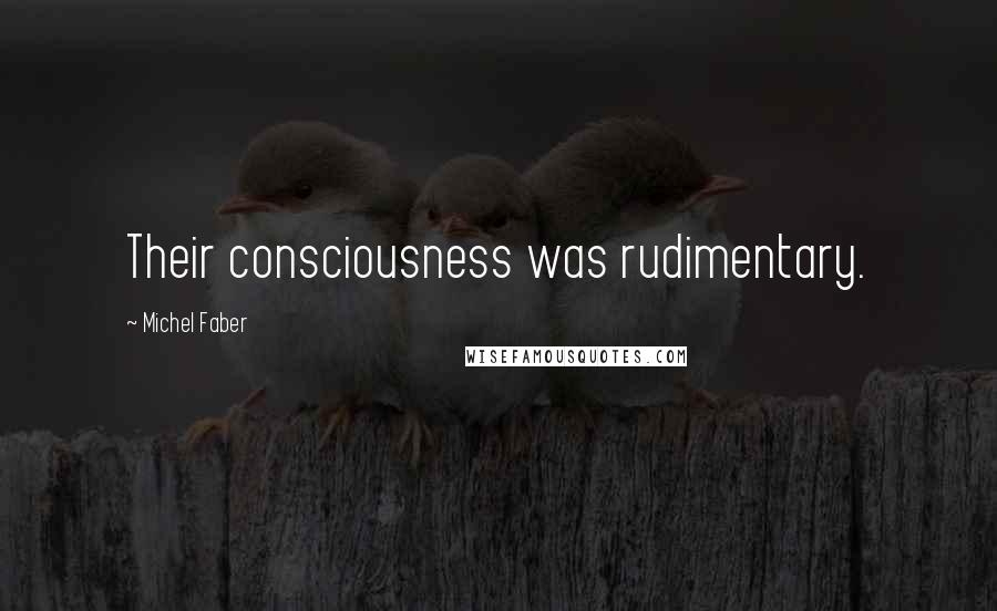 Michel Faber quotes: Their consciousness was rudimentary.