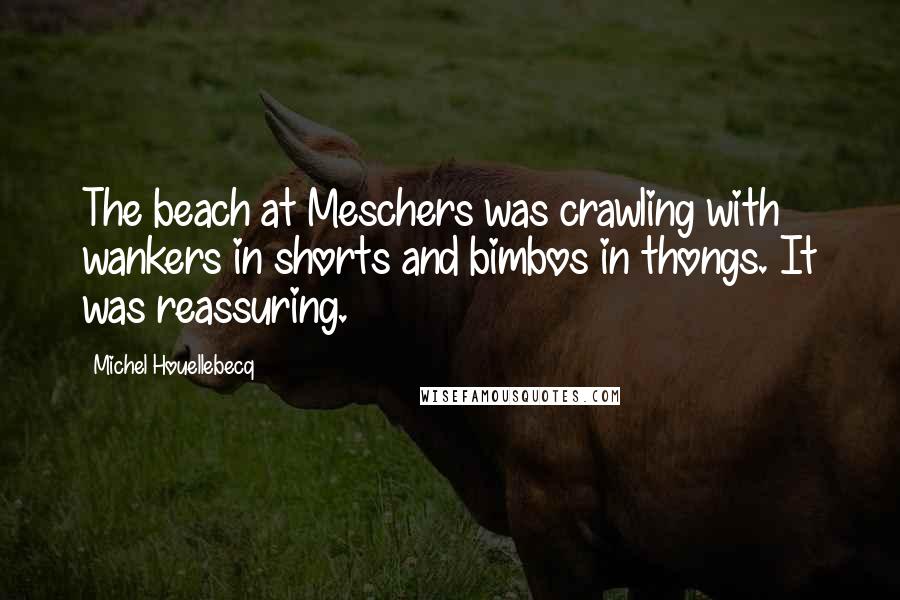 Michel Houellebecq quotes: The beach at Meschers was crawling with wankers in shorts and bimbos in thongs. It was reassuring.