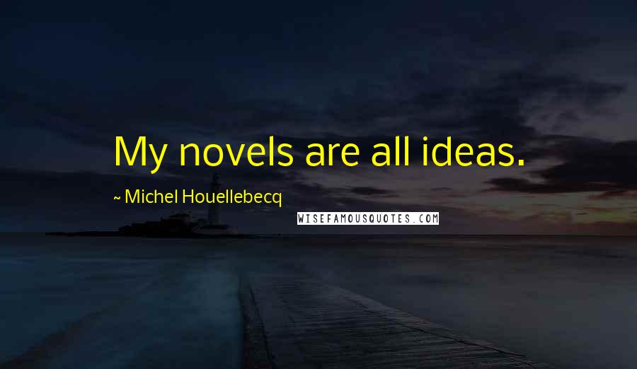 Michel Houellebecq quotes: My novels are all ideas.