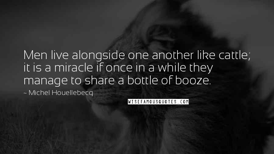 Michel Houellebecq quotes: Men live alongside one another like cattle; it is a miracle if once in a while they manage to share a bottle of booze.