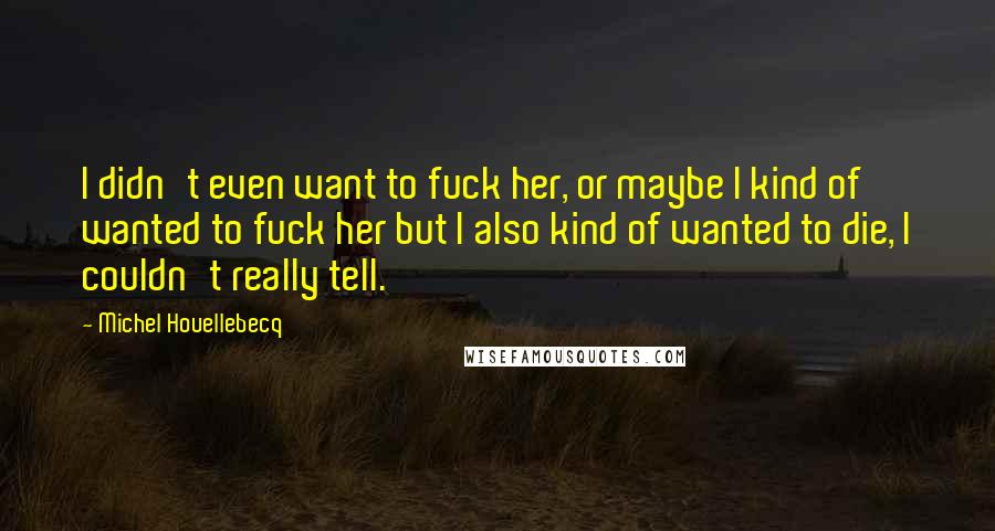 Michel Houellebecq quotes: I didn't even want to fuck her, or maybe I kind of wanted to fuck her but I also kind of wanted to die, I couldn't really tell.