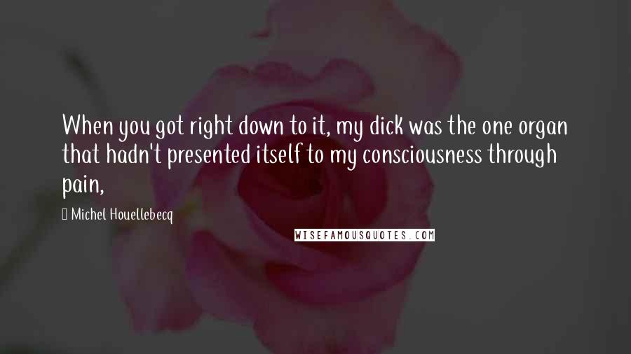 Michel Houellebecq quotes: When you got right down to it, my dick was the one organ that hadn't presented itself to my consciousness through pain,
