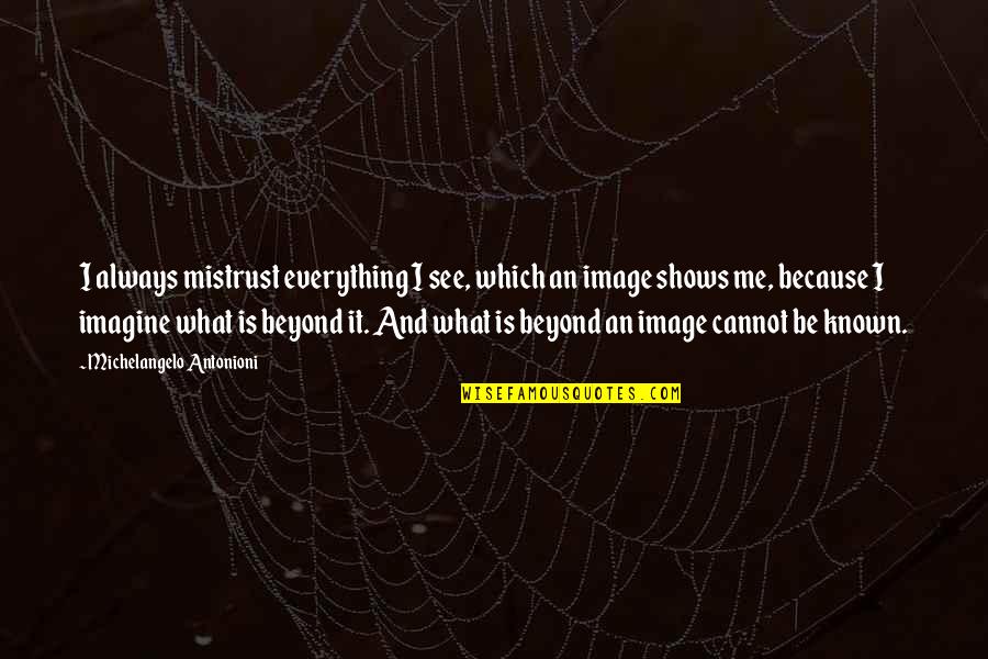 Michelangelo Antonioni Quotes By Michelangelo Antonioni: I always mistrust everything I see, which an