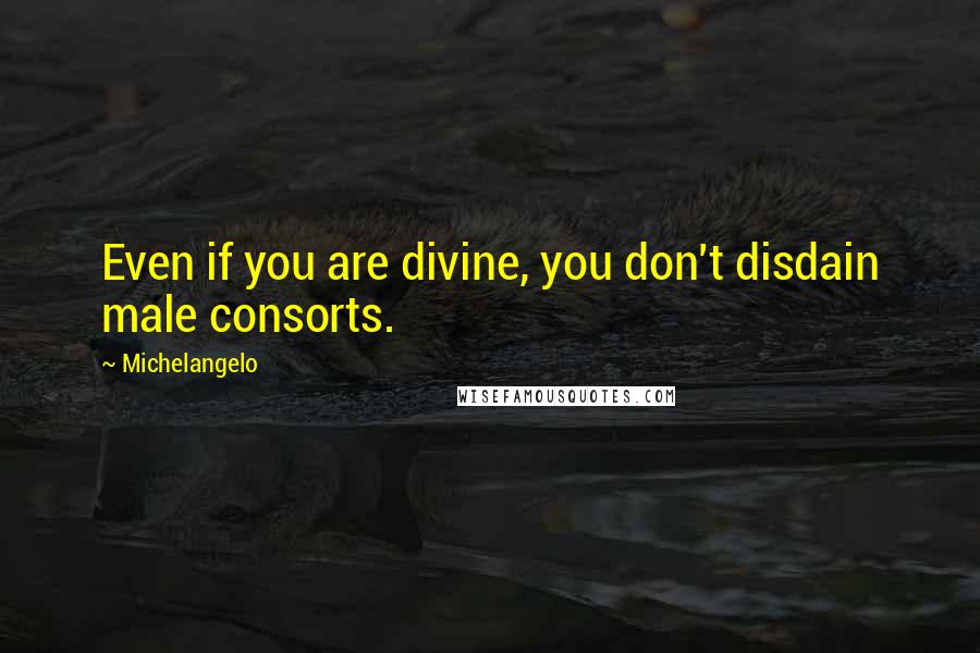 Michelangelo quotes: Even if you are divine, you don't disdain male consorts.