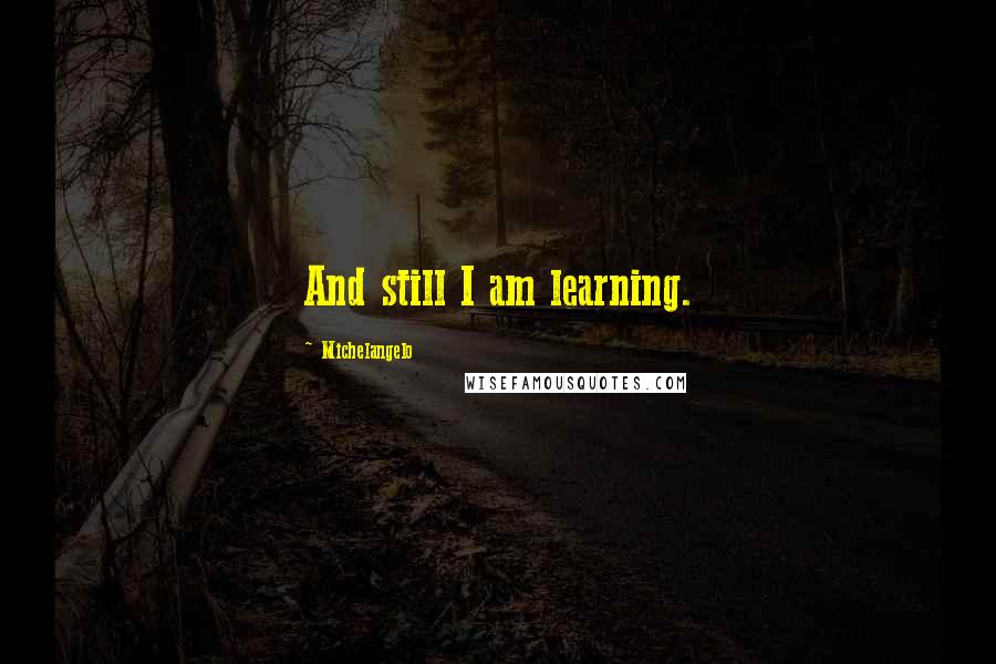 Michelangelo quotes: And still I am learning.