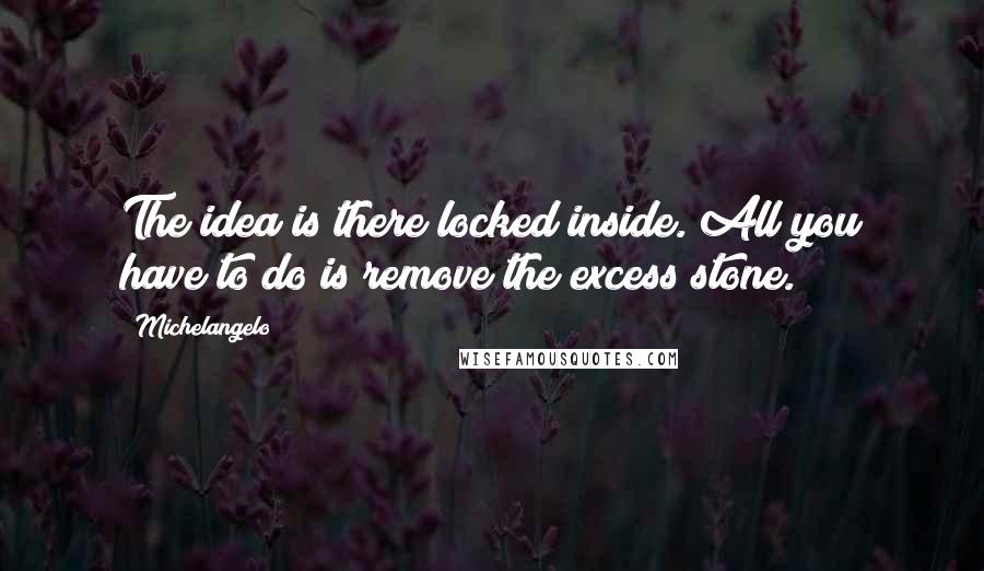 Michelangelo quotes: The idea is there locked inside. All you have to do is remove the excess stone.