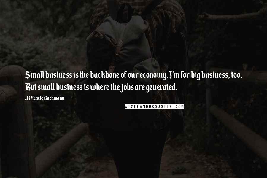 Michele Bachmann quotes: Small business is the backbone of our economy. I'm for big business, too. But small business is where the jobs are generated.