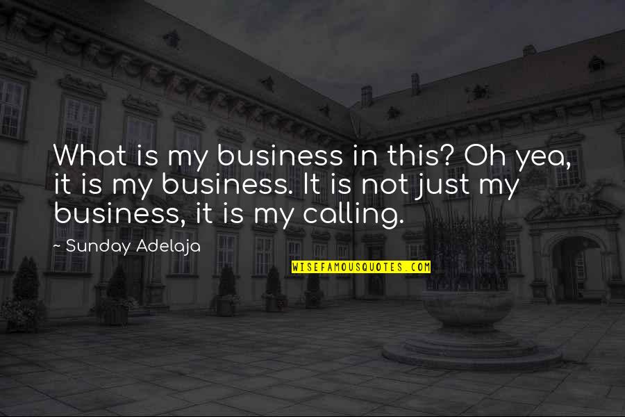 Michelle Gillean Quotes By Sunday Adelaja: What is my business in this? Oh yea,