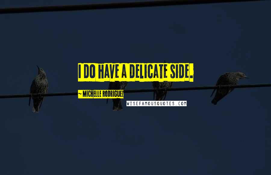 Michelle Rodriguez quotes: I do have a delicate side.