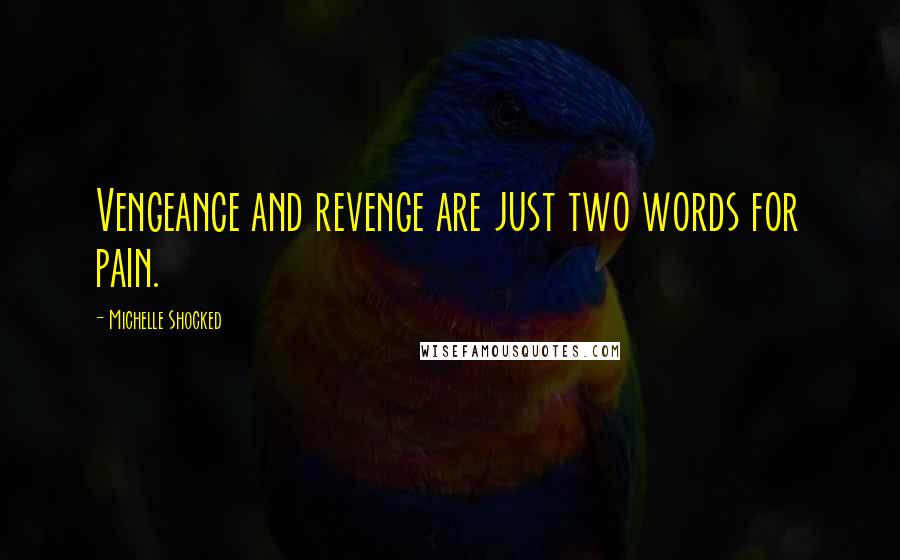 Michelle Shocked quotes: Vengeance and revenge are just two words for pain.