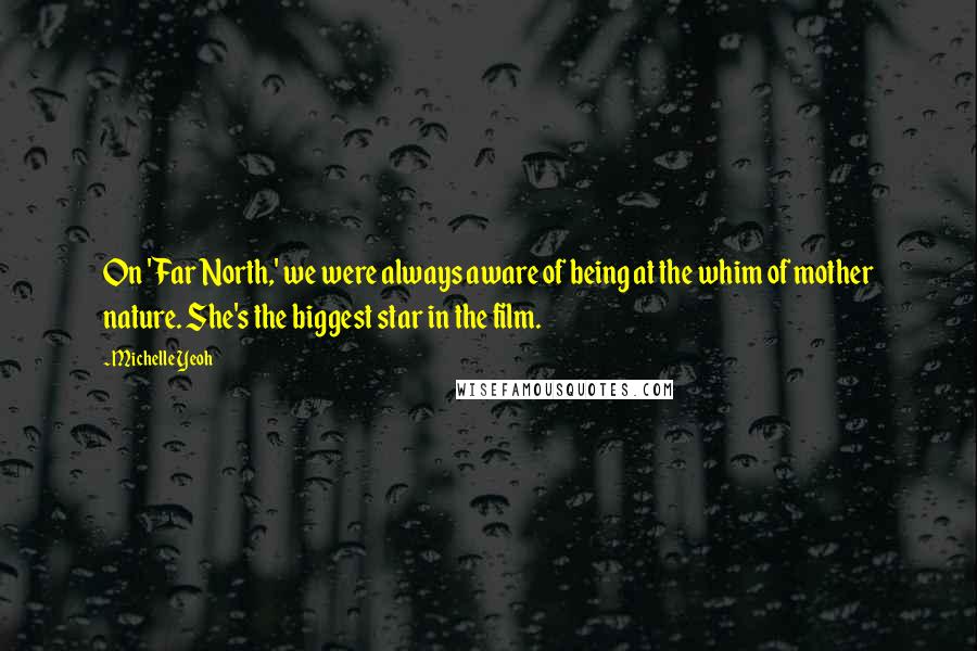 Michelle Yeoh quotes: On 'Far North,' we were always aware of being at the whim of mother nature. She's the biggest star in the film.