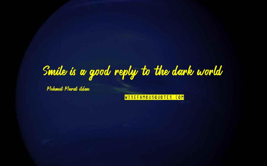 Michler En Quotes By Mehmet Murat Ildan: Smile is a good reply to the dark