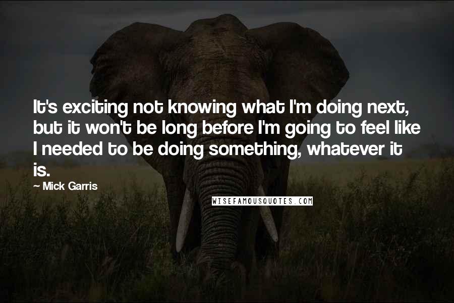 Mick Garris quotes: It's exciting not knowing what I'm doing next, but it won't be long before I'm going to feel like I needed to be doing something, whatever it is.