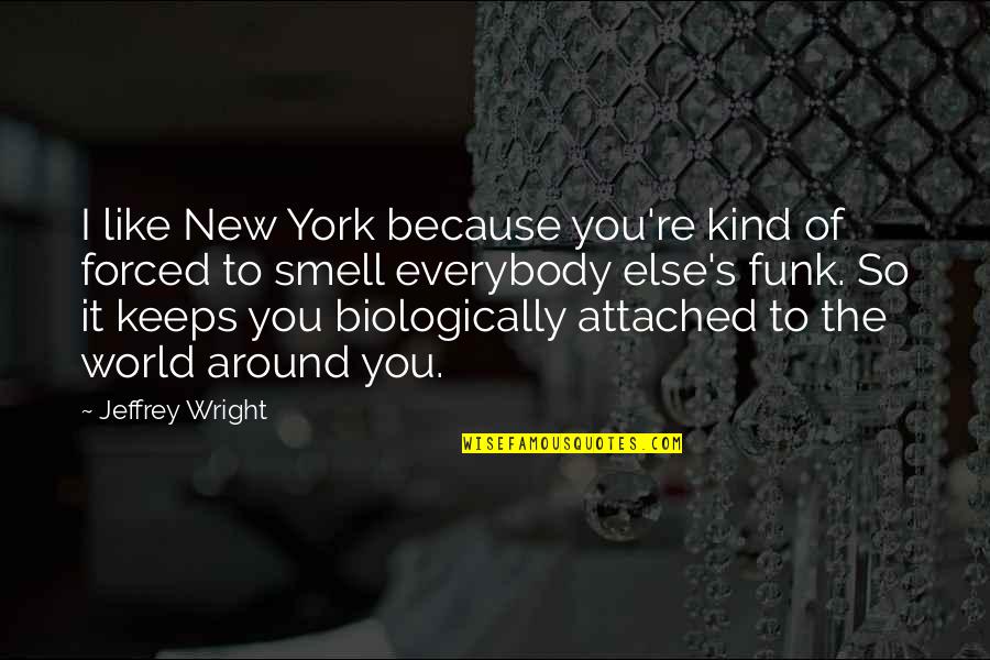 Mickayla Cushman Quotes By Jeffrey Wright: I like New York because you're kind of