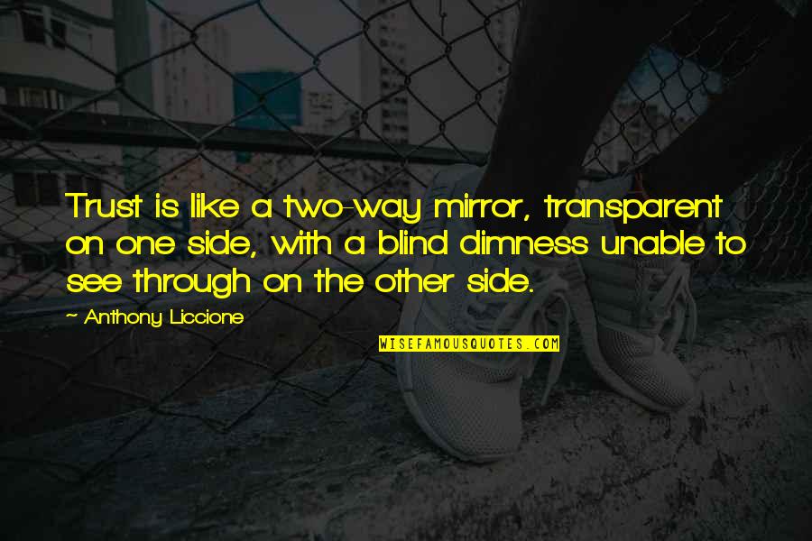 Mickayla Johnson Quotes By Anthony Liccione: Trust is like a two-way mirror, transparent on