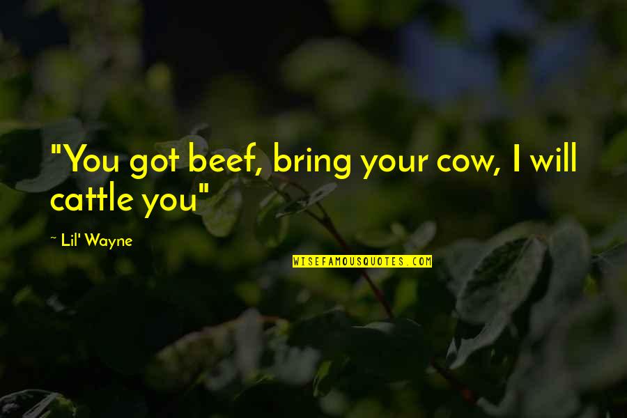 Mickey And Donald Quotes By Lil' Wayne: "You got beef, bring your cow, I will