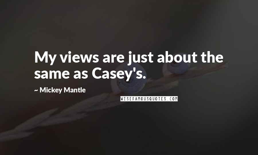 Mickey Mantle quotes: My views are just about the same as Casey's.