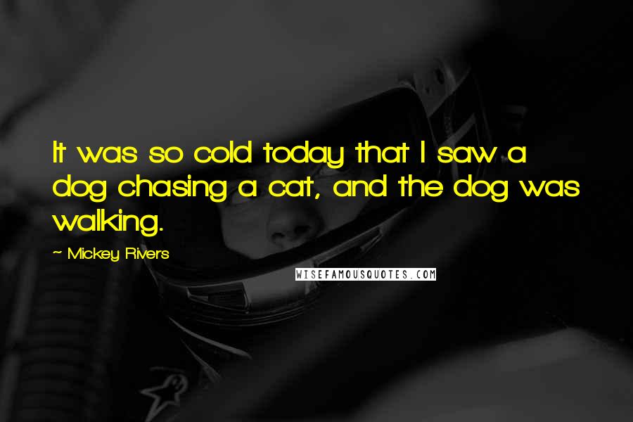 Mickey Rivers quotes: It was so cold today that I saw a dog chasing a cat, and the dog was walking.