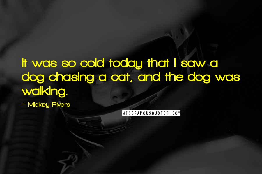 Mickey Rivers quotes: It was so cold today that I saw a dog chasing a cat, and the dog was walking. Mickey Rivers quotes: It was so cold today that I saw a dog chasing a cat, and the dog was walking.