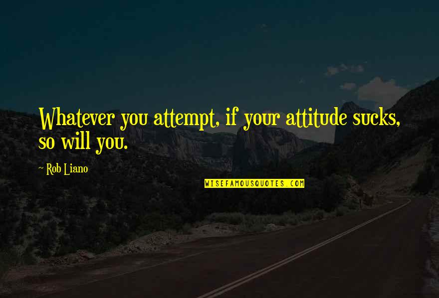 Micro Memories Cats Quotes By Rob Liano: Whatever you attempt, if your attitude sucks, so