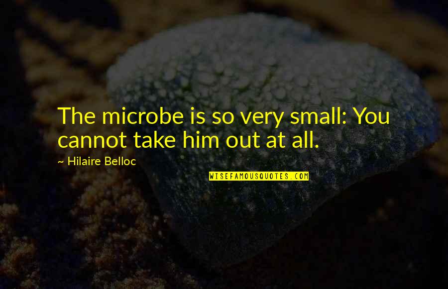 Microbe Quotes By Hilaire Belloc: The microbe is so very small: You cannot