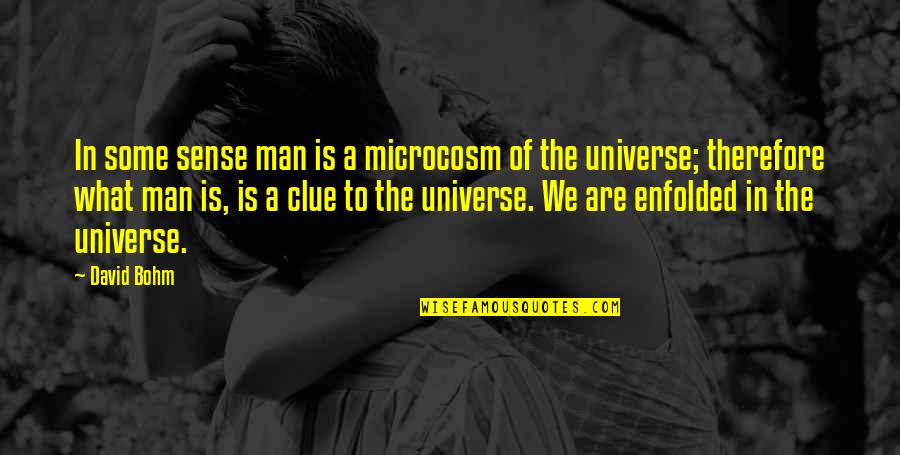 Microcosm Quotes By David Bohm: In some sense man is a microcosm of