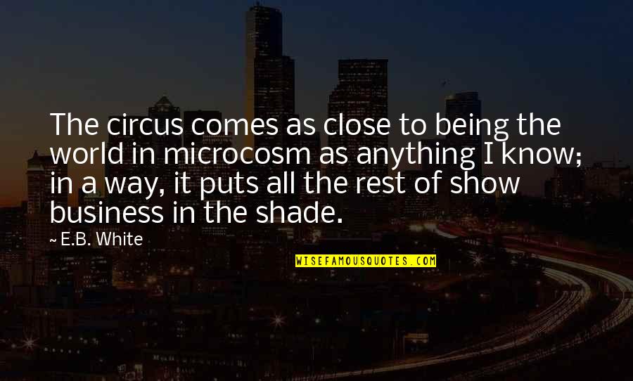 Microcosm Quotes By E.B. White: The circus comes as close to being the