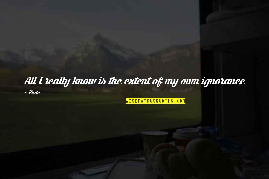 Microfiber Quotes By Plato: All I really know is the extent of