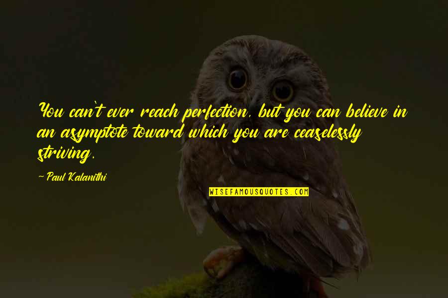 Micronesian Quotes By Paul Kalanithi: You can't ever reach perfection, but you can
