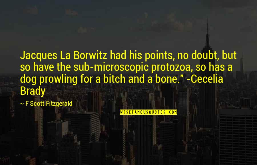 Microscopic Quotes By F Scott Fitzgerald: Jacques La Borwitz had his points, no doubt,