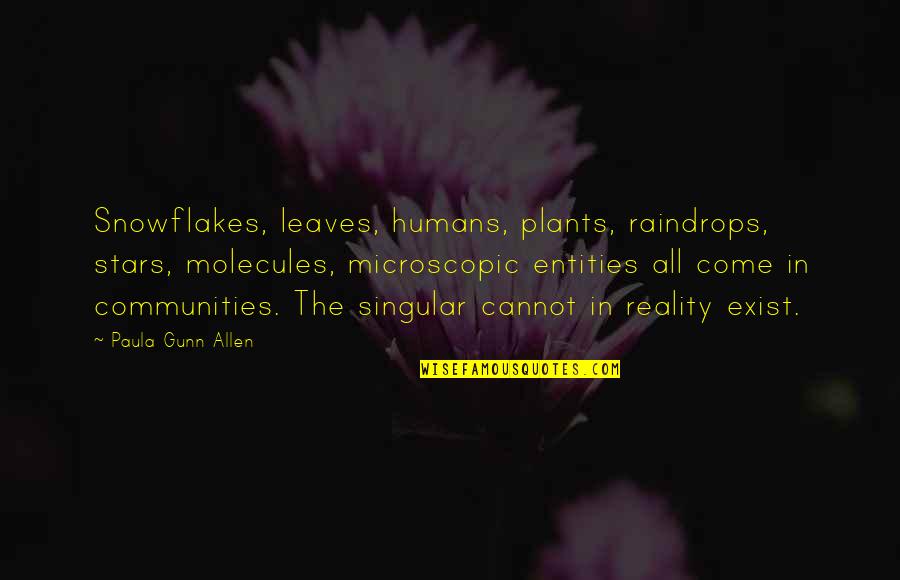 Microscopic Quotes By Paula Gunn Allen: Snowflakes, leaves, humans, plants, raindrops, stars, molecules, microscopic