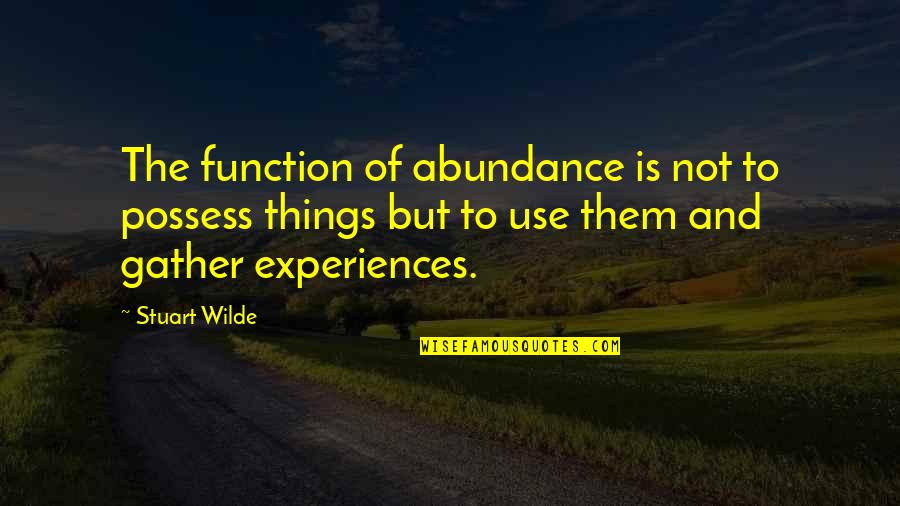Mid Forties Quotes By Stuart Wilde: The function of abundance is not to possess