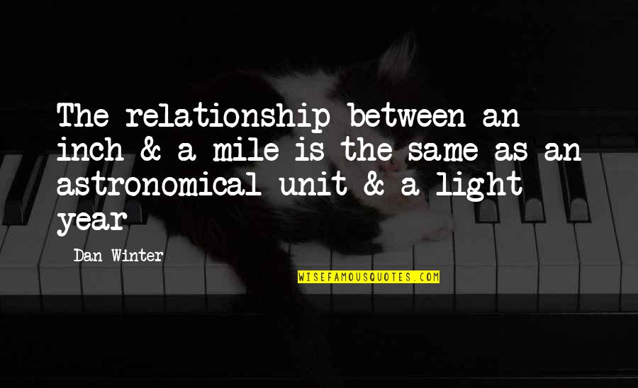 Mid Quote Quotes By Dan Winter: The relationship between an inch & a mile