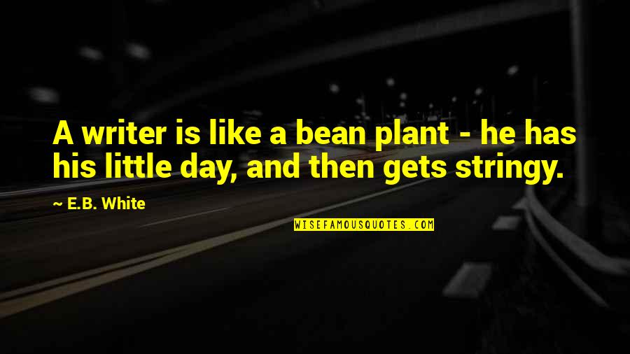 Mid Quote Quotes By E.B. White: A writer is like a bean plant -