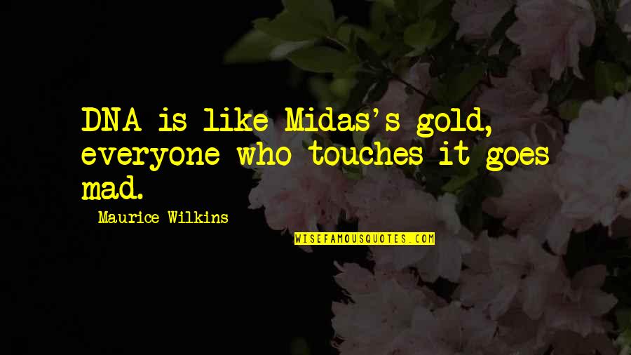 Midas Quotes By Maurice Wilkins: DNA is like Midas's gold, everyone who touches