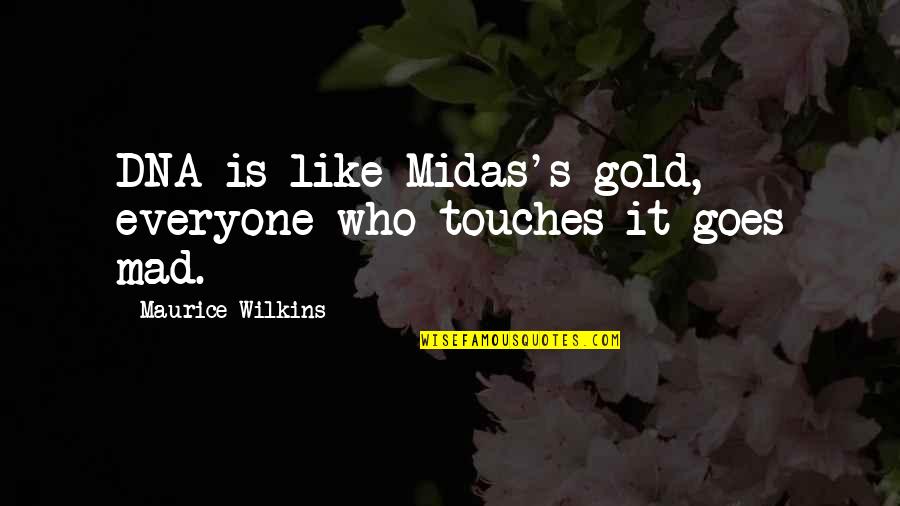 Midas's Quotes By Maurice Wilkins: DNA is like Midas's gold, everyone who touches
