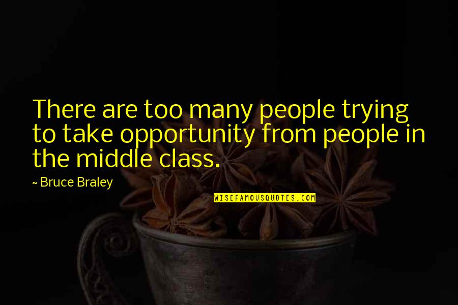 Middle Class People Quotes By Bruce Braley: There are too many people trying to take