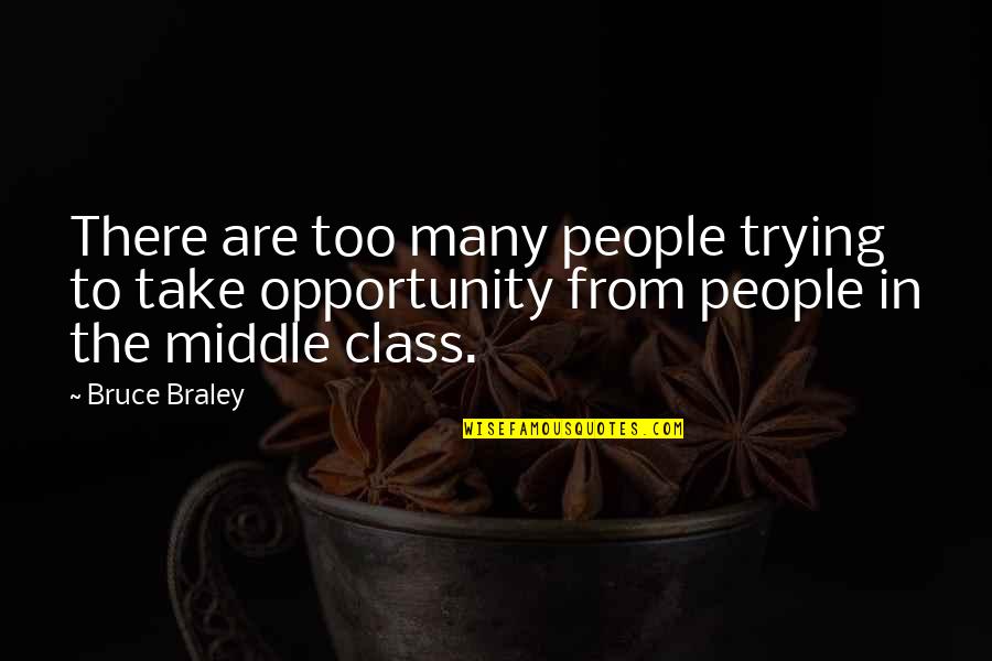 Middle Class Quotes By Bruce Braley: There are too many people trying to take