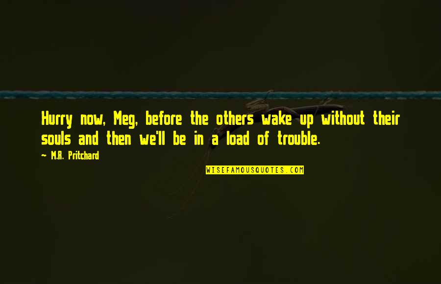 Middle Earth Inspirational Quotes By M.R. Pritchard: Hurry now, Meg, before the others wake up