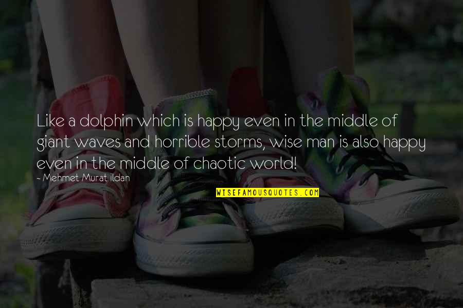 Middle Man Quotes By Mehmet Murat Ildan: Like a dolphin which is happy even in Middle Man Quotes By Mehmet Murat Ildan: Like a dolphin which is happy even in