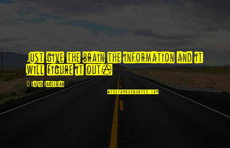Middlewoods Quotes By David Eagleman: Just give the brain the information and it Middlewoods Quotes By David Eagleman: Just give the brain the information and it