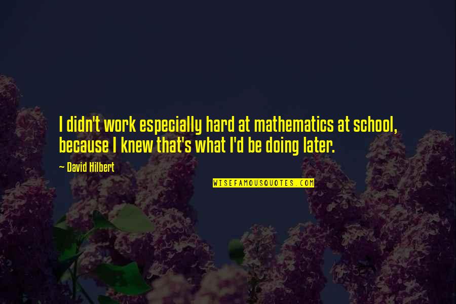 Midge Hedberg Quotes By David Hilbert: I didn't work especially hard at mathematics at