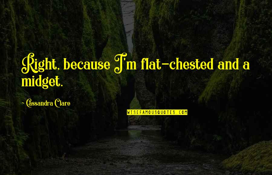 Midget Quotes By Cassandra Clare: Right, because I'm flat-chested and a midget.