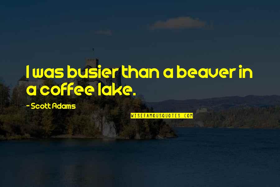 Midgley Bridge Quotes By Scott Adams: I was busier than a beaver in a Midgley Bridge Quotes By Scott Adams: I was busier than a beaver in a